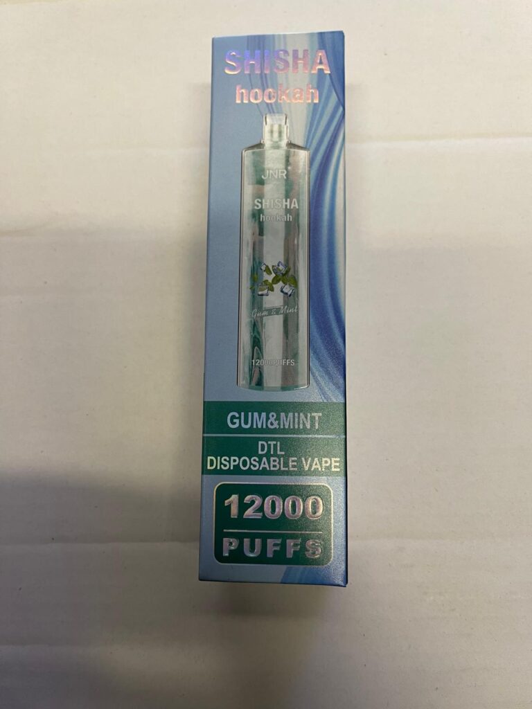 Puff Shisha Hookah 12 000 puffs en livraison